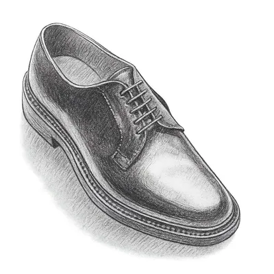 Alden 990 Plain Toe Blucher Shoes