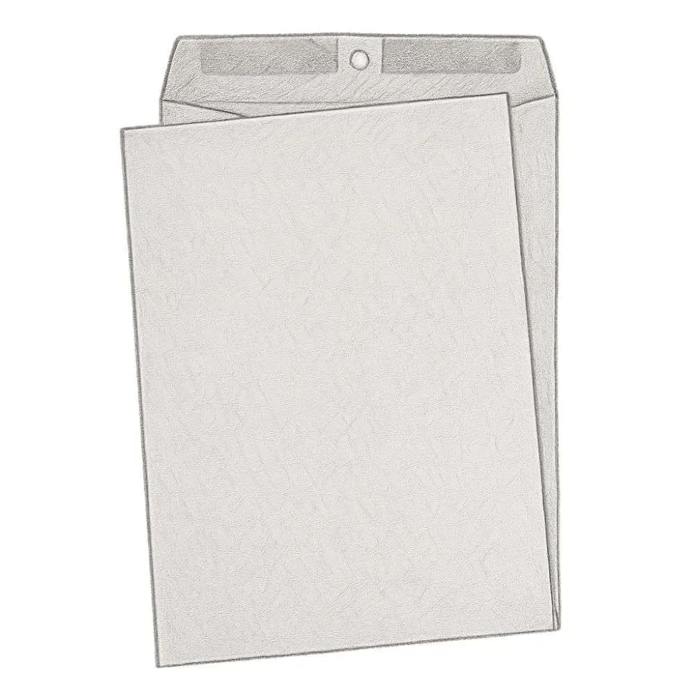 Amazon Basics Clasp Kraft Envelopes (Pack of 100, 9" x 12")