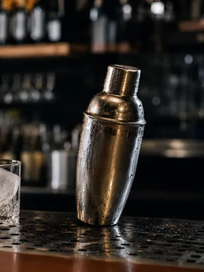 Best Cocktail Shakers