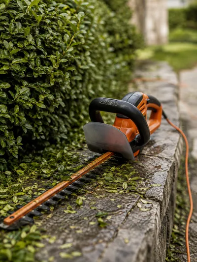 Best Corded Hedge Trimmer