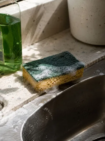 Best Household Sponges