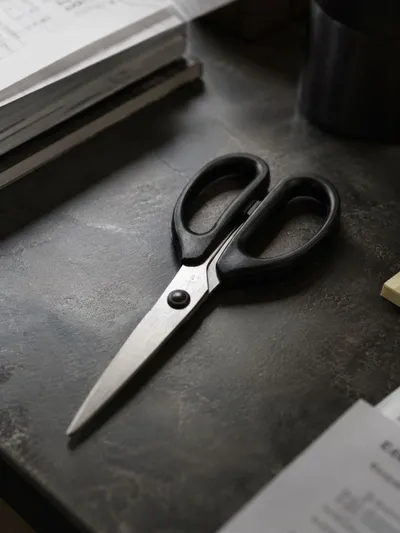 Best Office Scissors