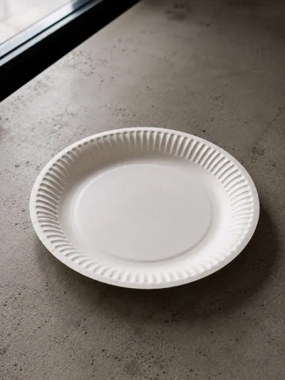 Best Paper Plates