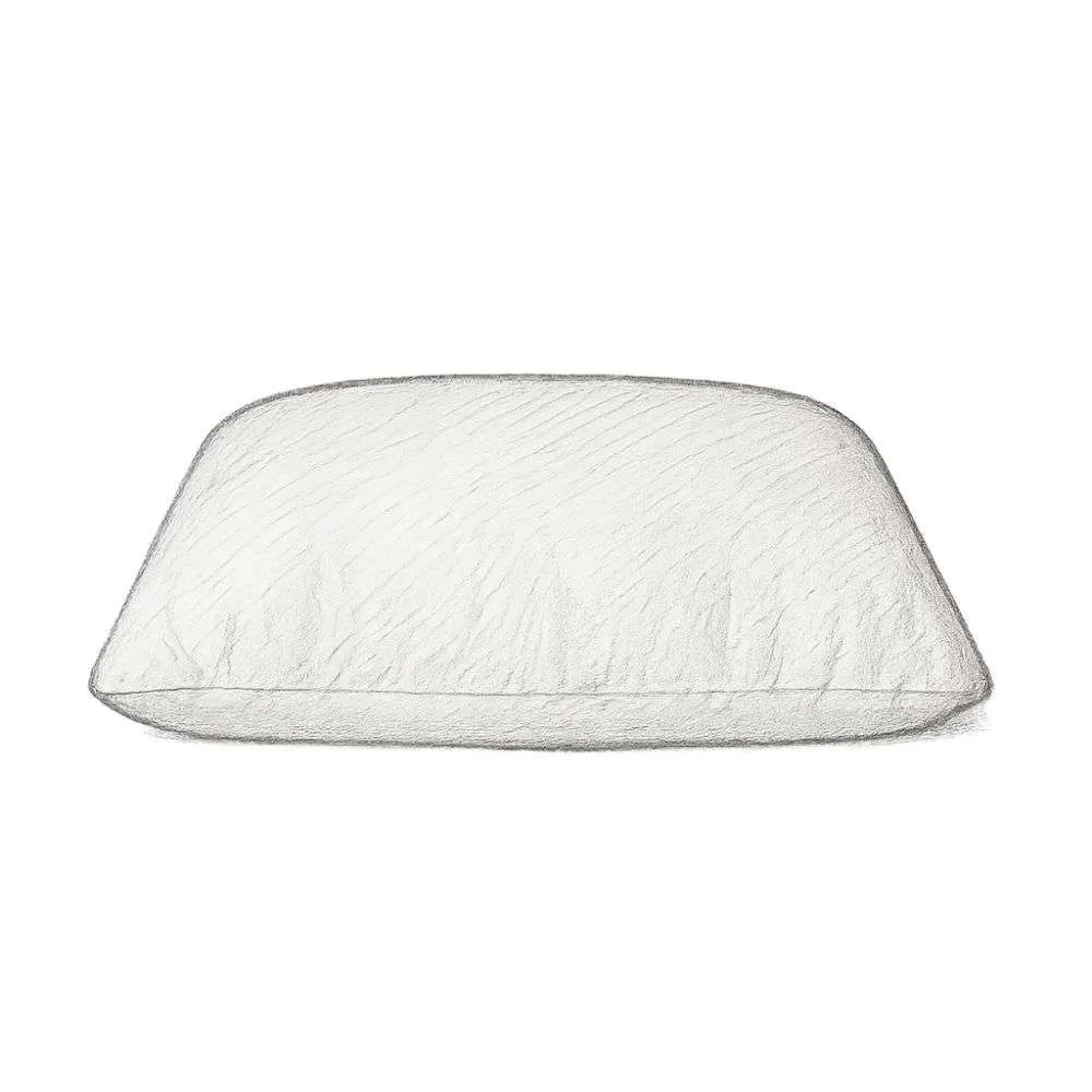 Birch Organic Pillow