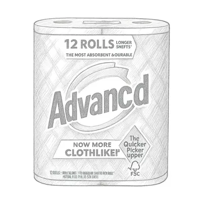 Bounty Advanced Paper Towels - 2 Ply (Pack of 12)