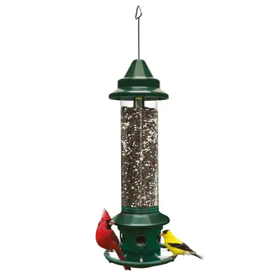 Brome Squirrel Buster® Plus