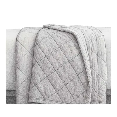 Garnet Hill Plush-Loft Blanket (Queen Size)