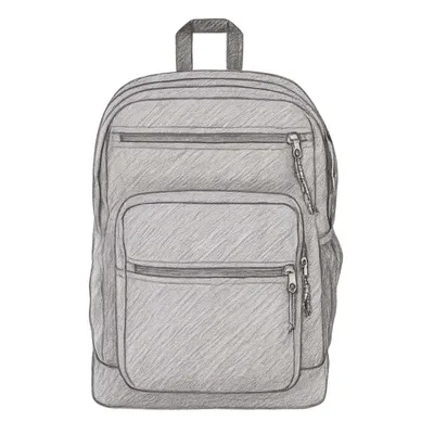 JanSport Cool Student Backpack