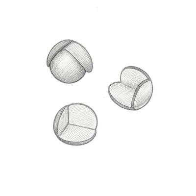 Jool Baby Clear Corner Guards (Pack of 24)