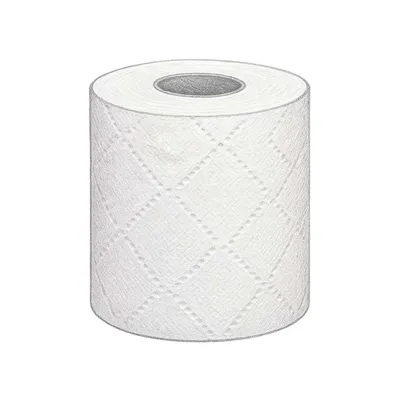 Kirkland Signature Bath Tissue - 2 Ply (Pack of 30)