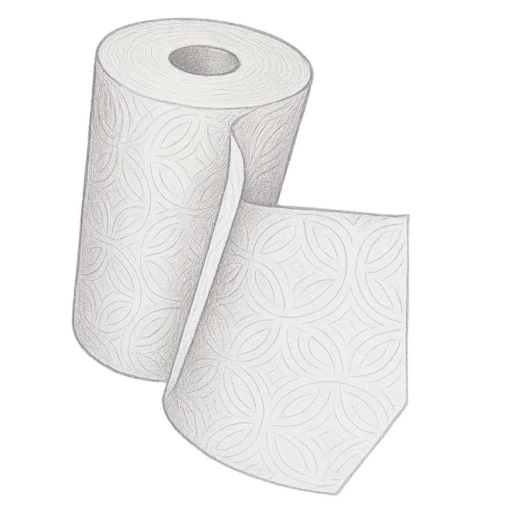 Kirkland Signature Paper Towels - 2 Ply (Pack of 12)