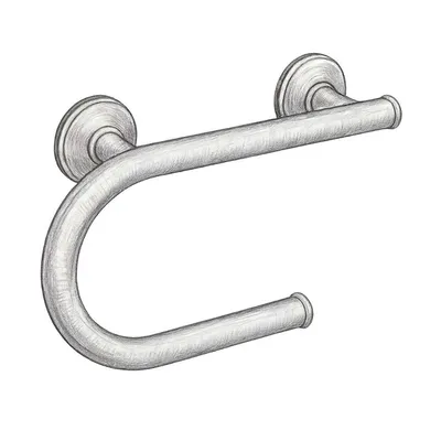 Moen Brushed Nickel Bathroom Safety Grab Bar with Toilet Paper Holder (8")