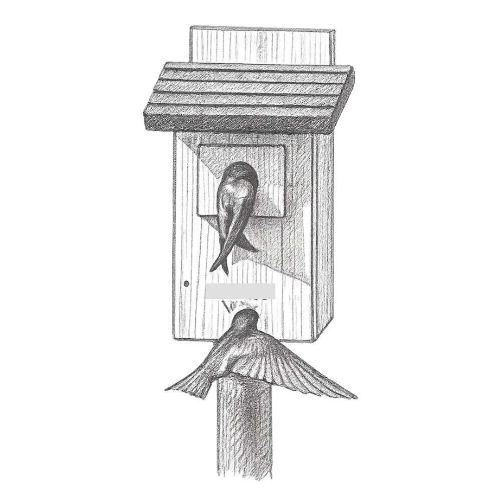 Nature's Way Bluebird Box House w/ Viewing Window