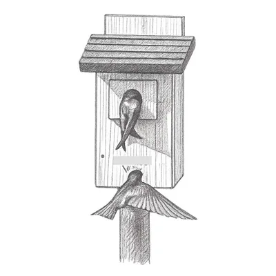 Nature's Way Bluebird Box House w/ Viewing Window