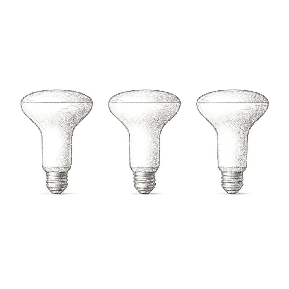 Philips Hue White and Color Ambiance BR30 - E26 Smart Bulb (3 Count)