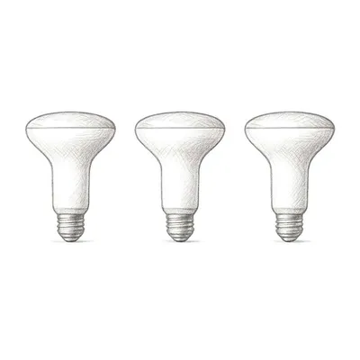 Philips Hue White and Color Ambiance BR30 - E26 Smart Bulb (3 Count)