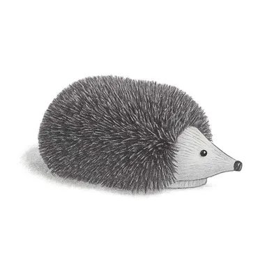 Rejuvenation Hedgehog Boot Scraper