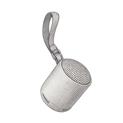 Sony XB100 Compact Bluetooth Wireless Speaker