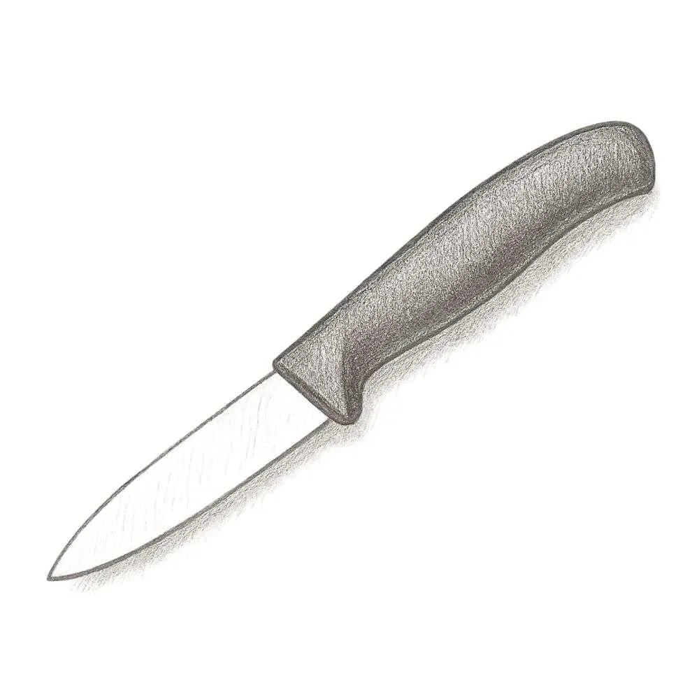 Victorinox Swiss Classic Paring Knife