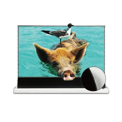 VIVIDSTORM S PRO Motorized Tension Floor Rising UST ALR Projector Screen (120")